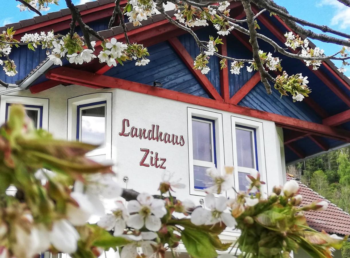 Landhaus Zitz Ranten Zewnętrze zdjęcie