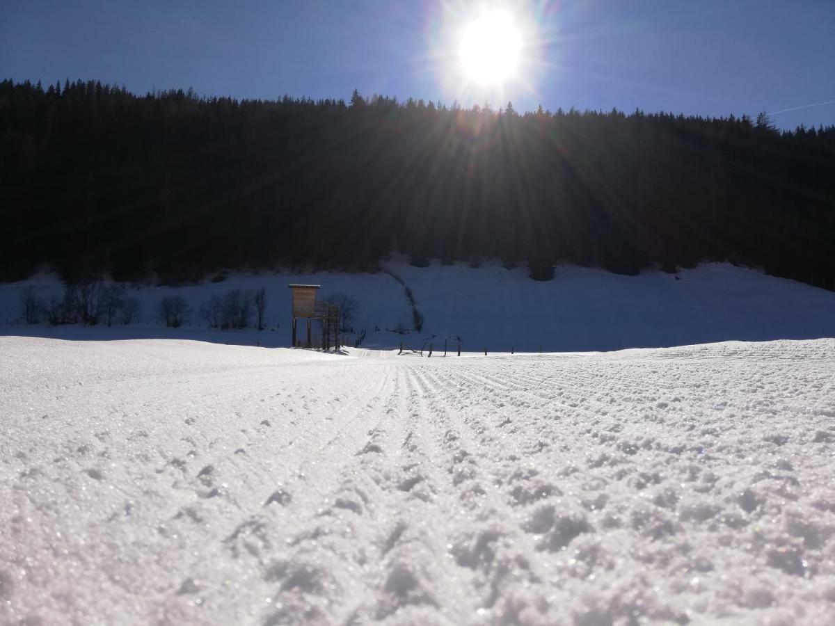 Landhaus Zitz Ranten Zewnętrze zdjęcie